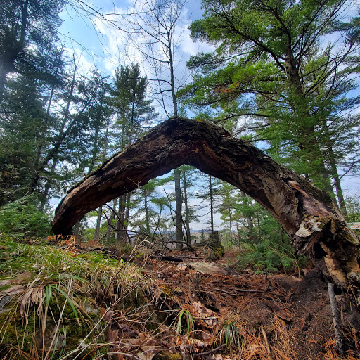 Museum «Michigan Iron Industry Museum», reviews and photos, 73 Forge Rd, Negaunee, MI 49866, USA