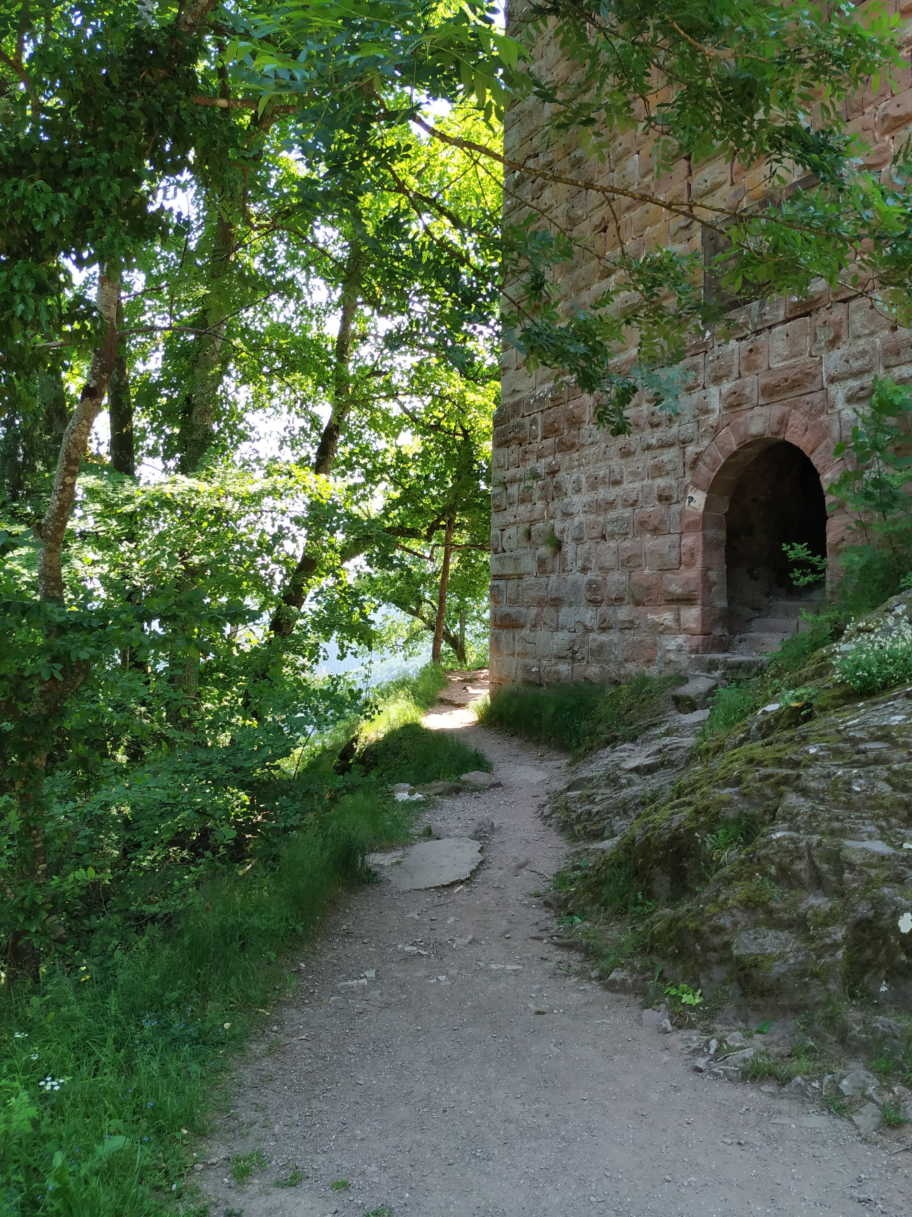 Photo n° 4 de l'avis de Antonin.R fait le 09/06/2019 à 21:46