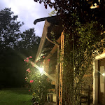 Photo n°2 de l'avis de Cosimo.i fait le 14/08/2019 à 12:09 sur le  La Rosa Nel Bicchiere à Soveria Mannelli