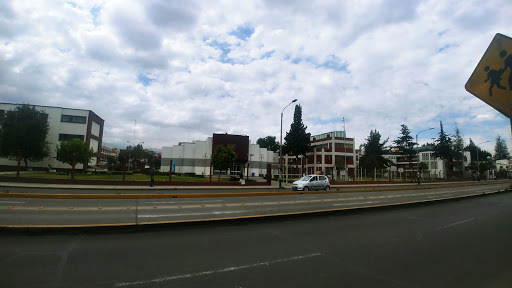 Escuela de biología UNSA