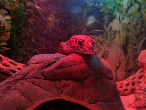 Pet Store «The Pet Works», reviews and photos, 1257 Commerce Ave, Longview, WA 98632, USA