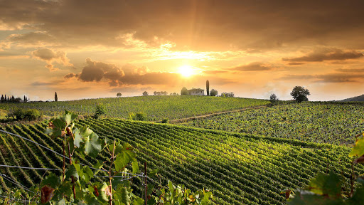 Winery «El Gaucho Winery», reviews and photos, 21301 Kathy Ln, Spicewood, TX 78669, USA