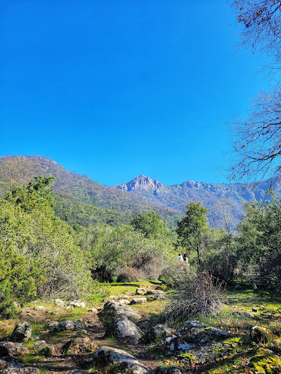 Santuario de la Naturaleza Cerro Poqui
