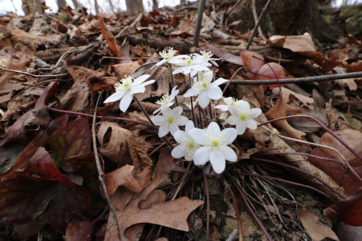 Learning Center «Sagawau Environmental Learning Center», reviews and photos, 12545 111th St, Lemont, IL 60439, USA