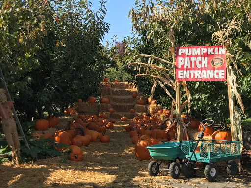 Produce Market «Washington Fruit Place At Barrett Orchards», reviews and photos, 1209 Pecks Canyon Rd, Yakima, WA 98908, USA