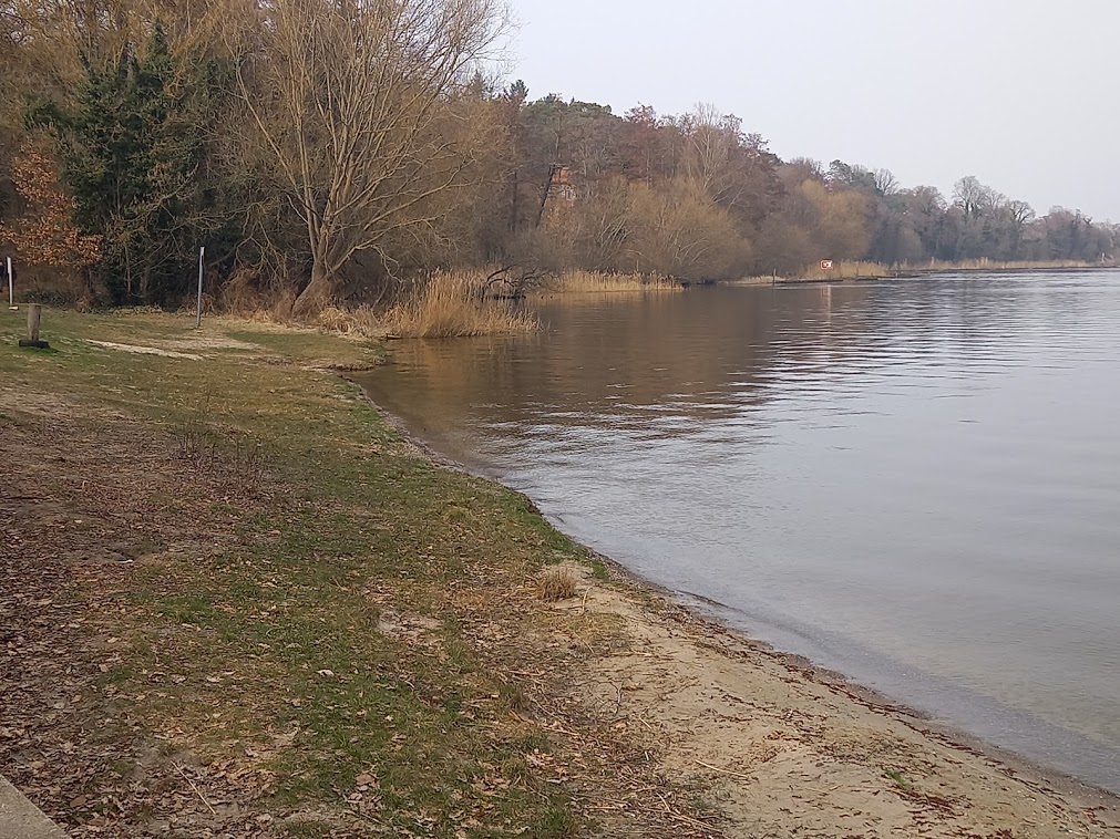 Foto von Gatow Strand wilde gegend