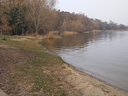 Photo de Gatow Strand zone sauvage