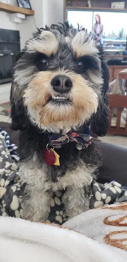 2125 Ivy Rd #2, Charlottesville, VA 22903, USA