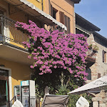 Photo n°1 de l'avis de Pia.o fait le 20/10/2022 à 15:54 sur le  Ristorante Piccolo Castello à Sirmione