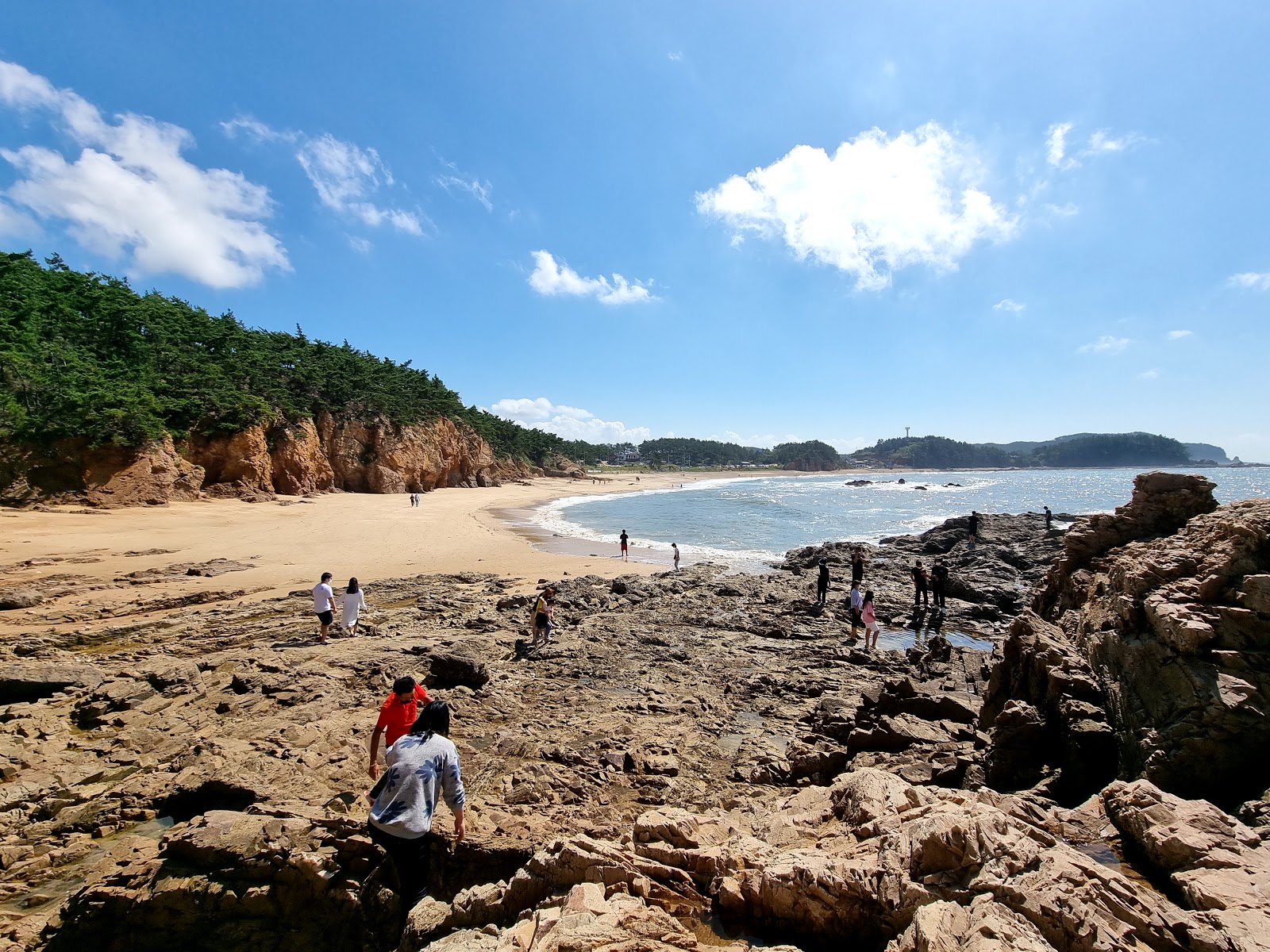 Photo of Padori Beach wild area