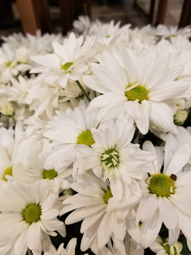 Grocery Store «Schnucks», reviews and photos, 2222 Troy Rd, Edwardsville, IL 62025, USA