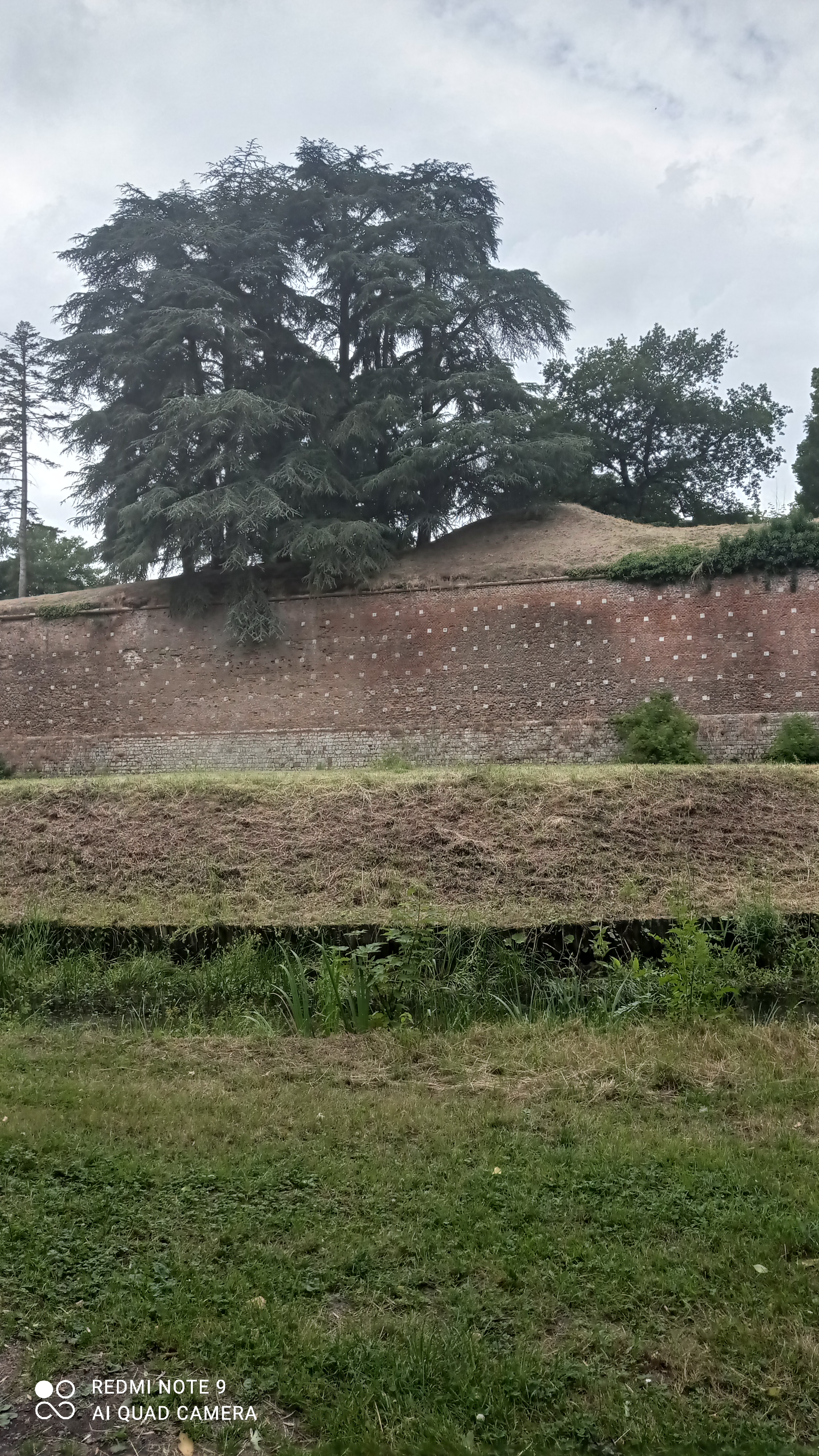 Photo n° 9 de l'avis de heloir.d fait le 20/06/2023 à 13:41