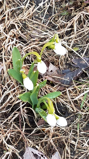 Park «Victory Park», reviews and photos, 4414 Upton Ave N, Minneapolis, MN 55412, USA