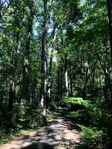 Park «Bechtel Park», reviews and photos, Naamans Rd, Claymont, DE 19703, USA