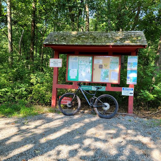 Bicycle Store «Hilltop Bicycles», reviews and photos, 30 Eastman St, Cranford, NJ 07016, USA