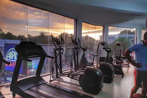 MuscleMass Fitness Hub image