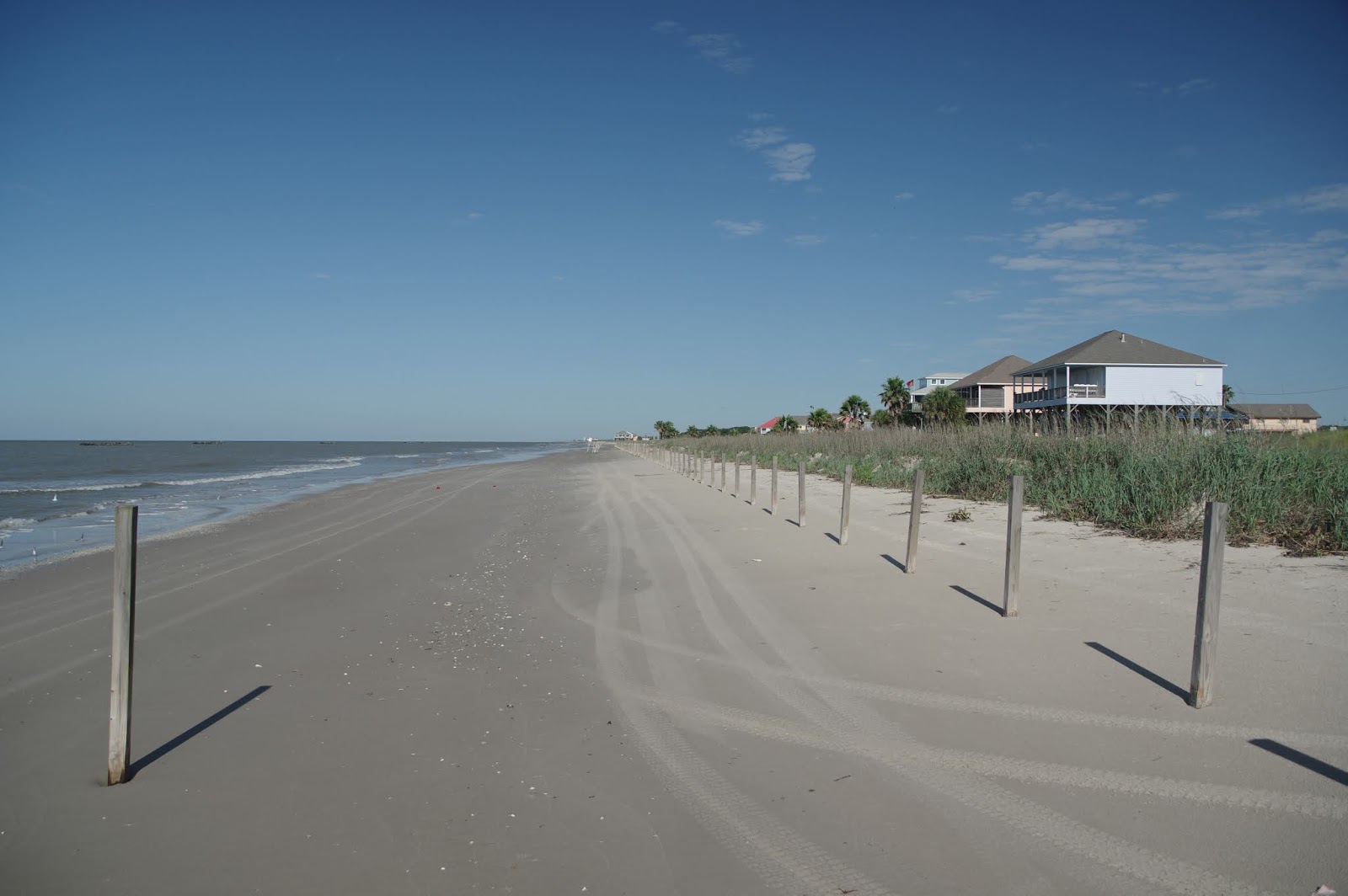 Photo de Holly beach situé dans une zone naturelle