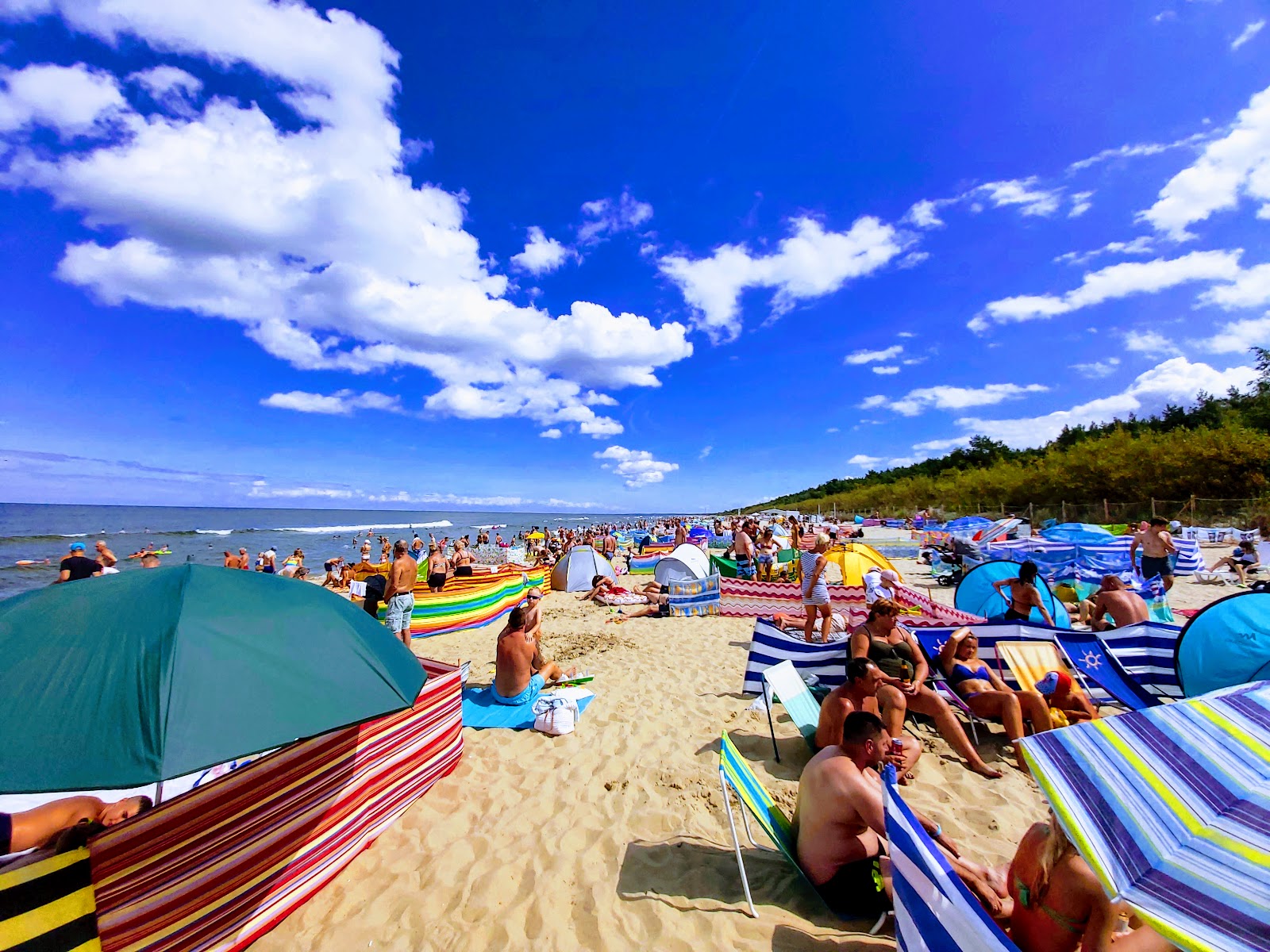 Krynica Morska beach photo #8