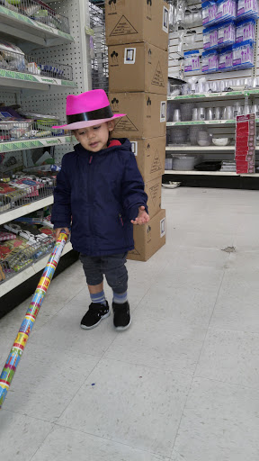 Dollar Store «Dollar Tree», reviews and photos, 1 Padanaram Rd, Danbury, CT 06811, USA