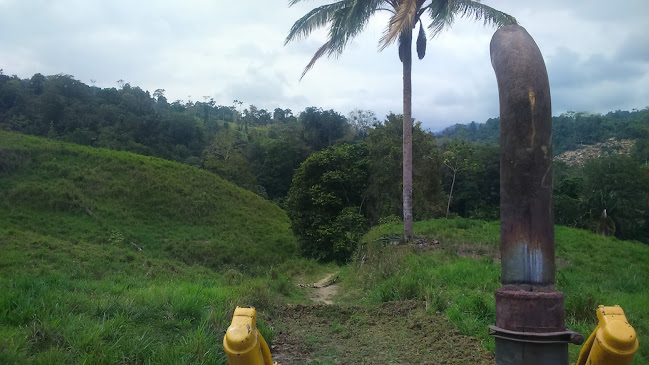 F6J8+433, La Selva, Ecuador