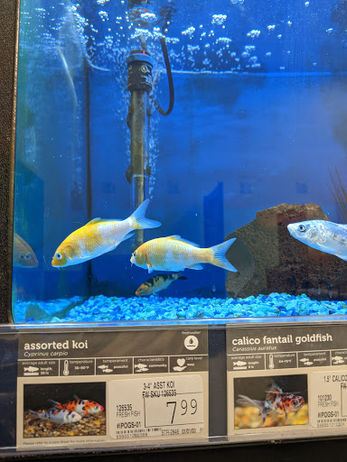 Pet Supply Store «Petco Animal Supplies», reviews and photos, 3464 Towne Blvd, Franklin, OH 45005, USA