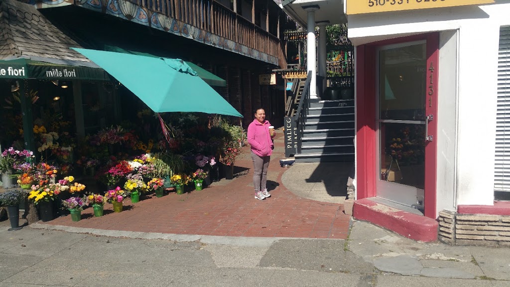 Joules Parlour 94611