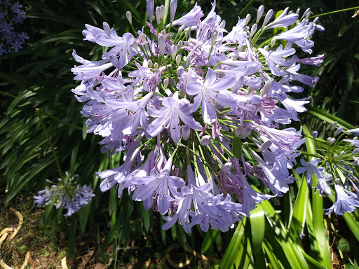 Country Club «Tucson Country Club», reviews and photos, 2950 N Camino Principal, Tucson, AZ 85715, USA