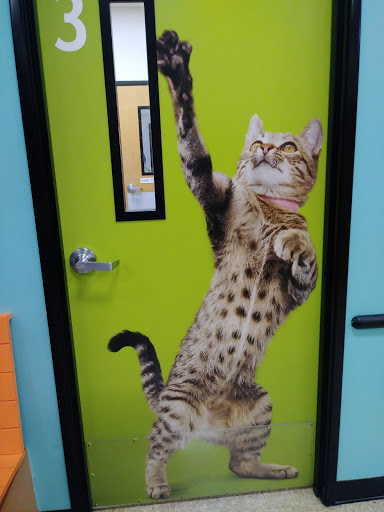 Pet Supply Store «PetSmart», reviews and photos, 807 Industrial Blvd, Smyrna, TN 37167, USA