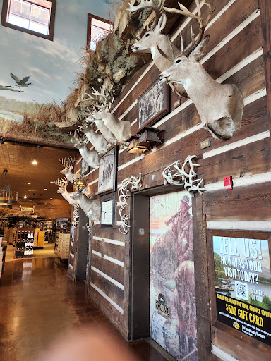 Sporting Goods Store «Bass Pro Shops», reviews and photos, 709 Janes Ave, Bolingbrook, IL 60440, USA