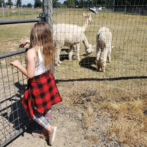Livestock Breeder «Alpacas at Marquam Hill Ranch», reviews and photos, 35835 OR-213, Molalla, OR 97038, USA