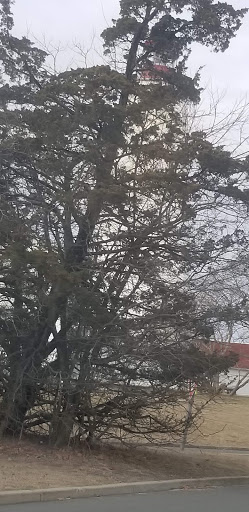 Campground «Camp Gateway - Sandy Hook», reviews and photos, 26 Hudson Rd, Highlands, NJ 07732, USA