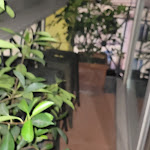 Photo n°6 de l'avis de Joseph.o fait le 07/09/2022 à 02:50 sur le  Hotel La Fenice à Rome