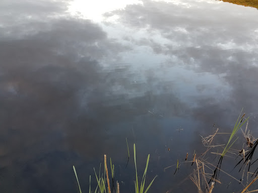 Park «Bethany Veterans Memorial Park», reviews and photos, 265 Beacon Rd, Bethany, CT 06524, USA