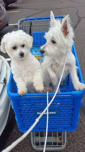 Pet Supply Store «PetSmart», reviews and photos, 8460 Tamarack Village, Woodbury, MN 55125, USA