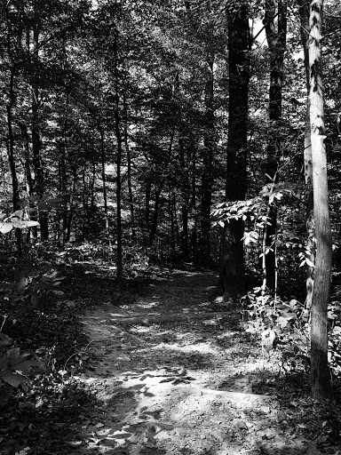 Nature Preserve «Scott’s Run Nature Preserve», reviews and photos, 7400 Georgetown Pike, McLean, VA 22102, USA