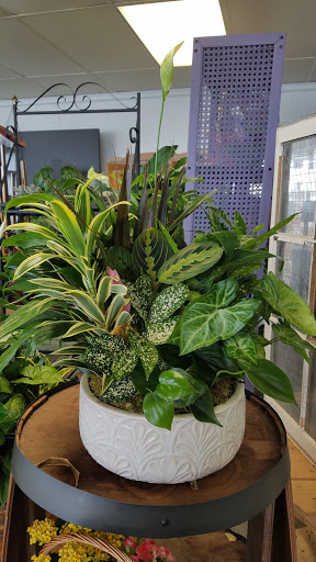 Florist «Flower Express», reviews and photos, 1837 Gallatin Pike N, Madison, TN 37115, USA