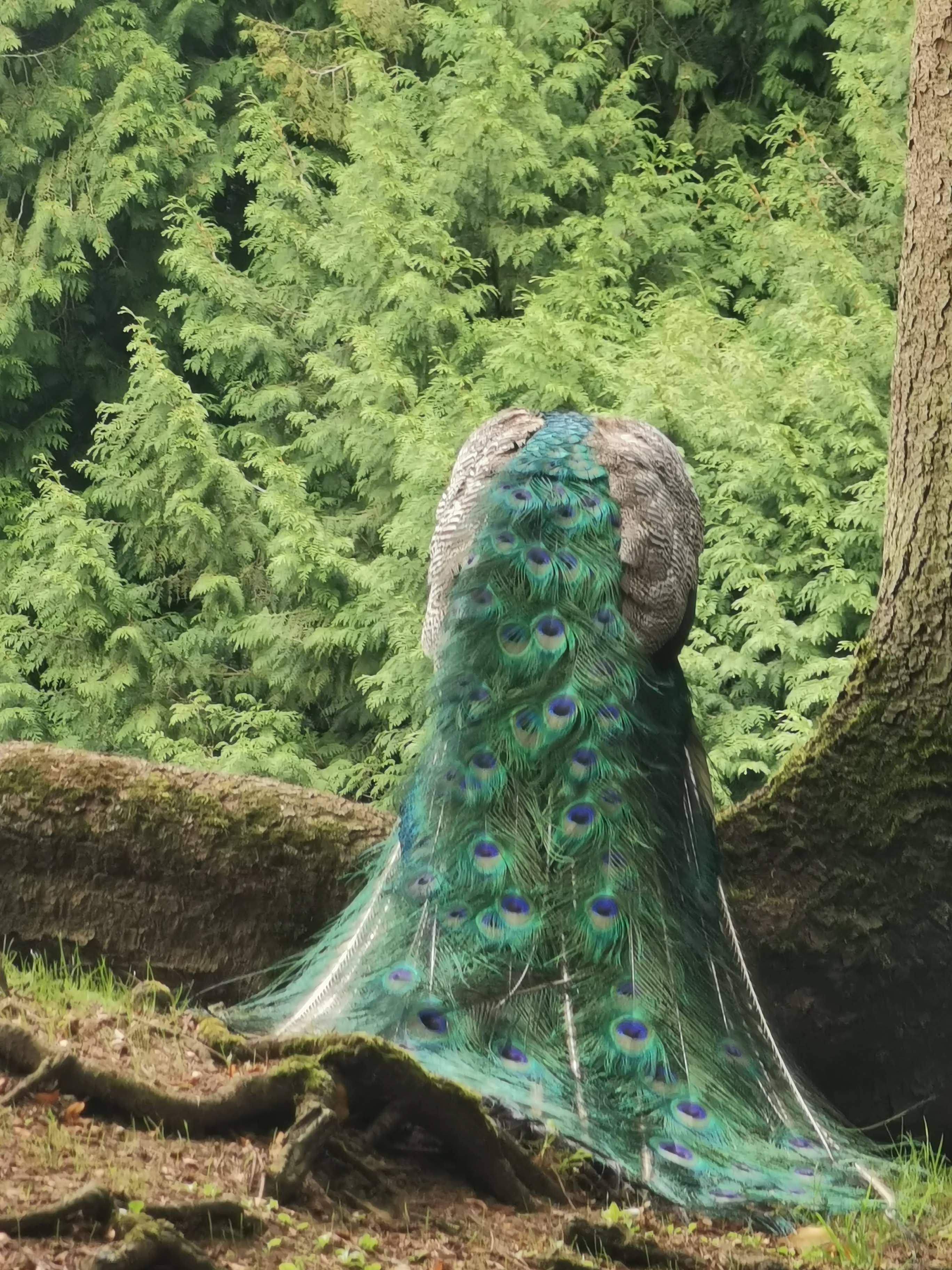 Photo n° 9 de l'avis de Eléonore.i fait le 26/08/2020 à 05:52