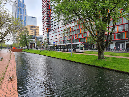 Luxeappartementen Rotterdam