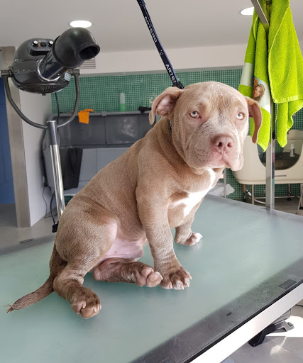 Clínica Veterinaria Sanus en Hellín