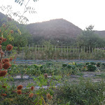 Photo n°3 de l'avis de Bernd.c fait le 06/08/2022 à 20:06 sur le  Locanda del Pesco à Collebeato