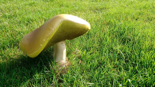 Public Golf Course «J.C. Martin Golf Course», reviews and photos, 652 Shunpike Rd, Erie, PA 16508, USA