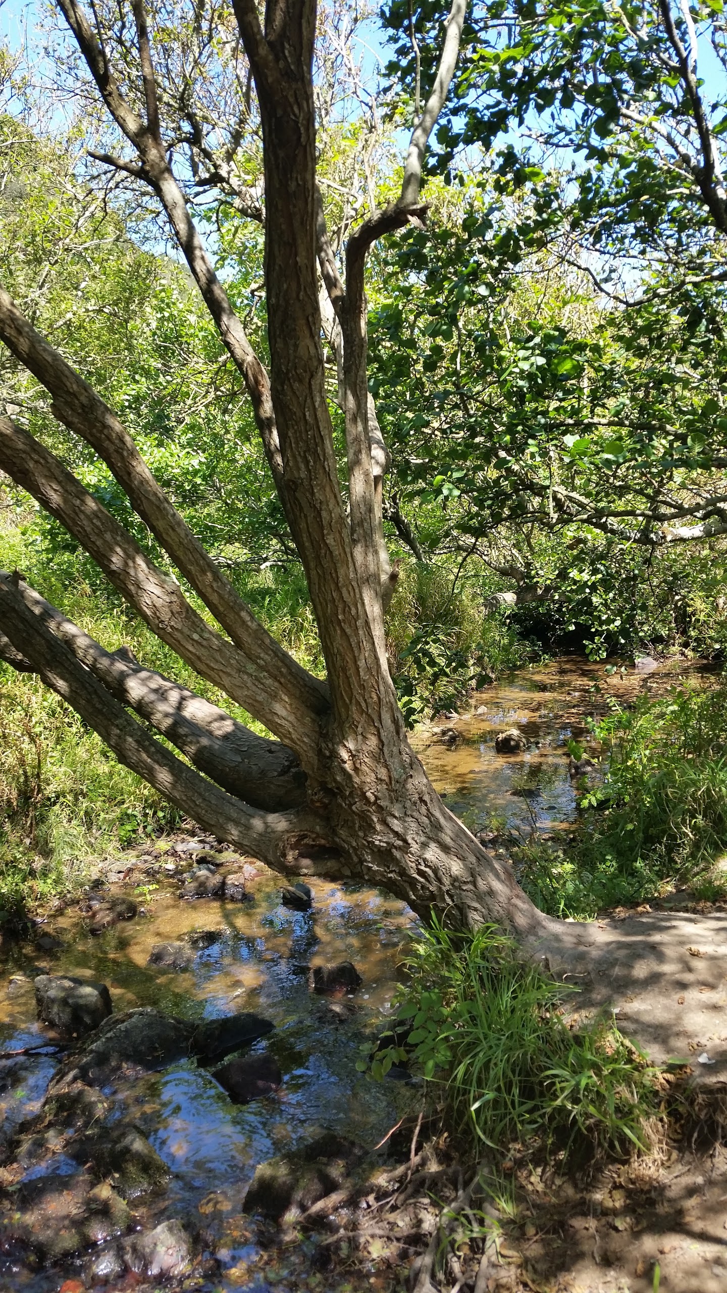 Photo n° 3 de l'avis de MCh.n fait le 21/06/2017 à 15:42