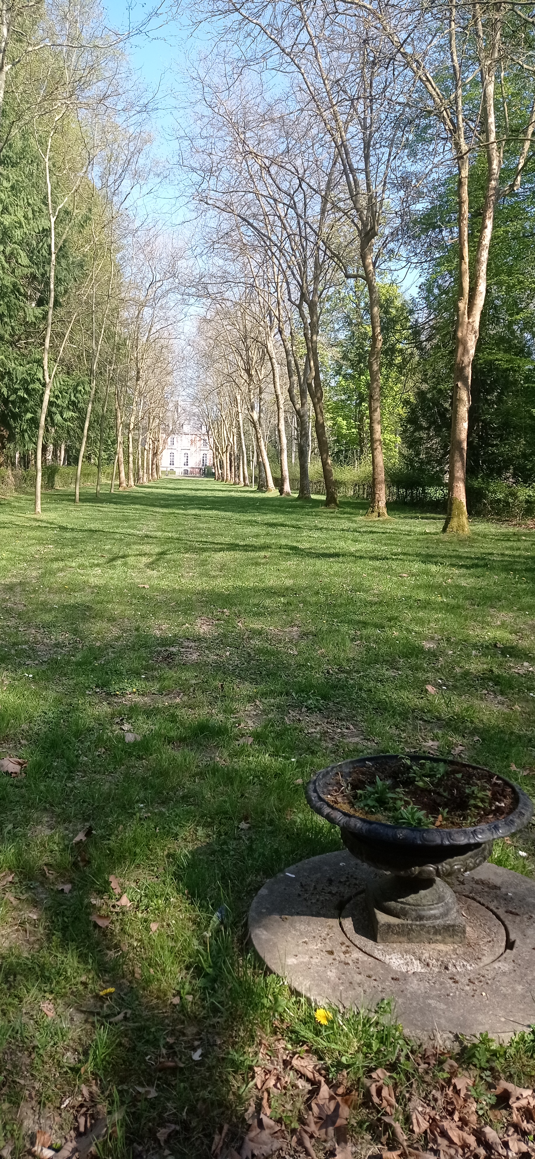 Photo n° 2 de l'avis de EA.e fait le 16/04/2022 à 15:29