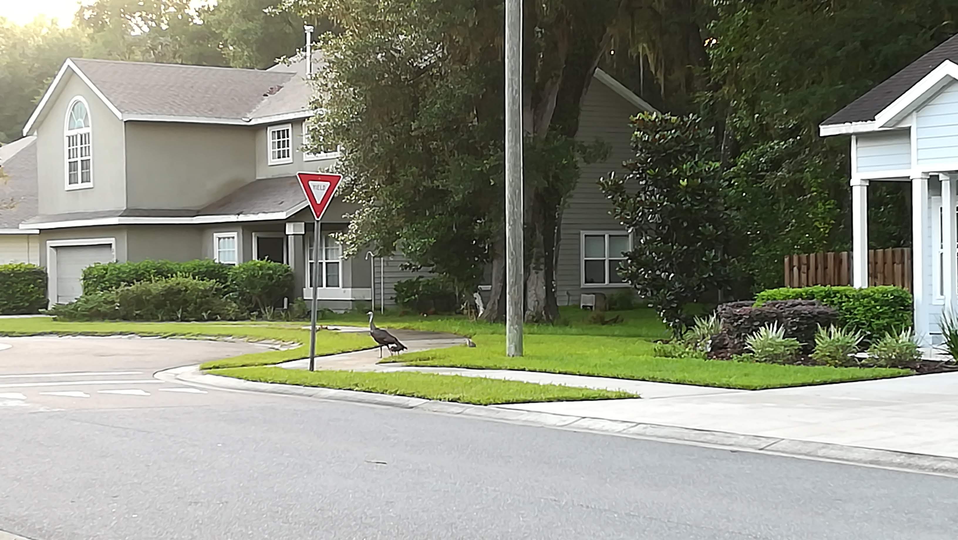 Portofino, An Emmer Development Community