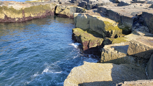 Vista Point «Schoodic Point», reviews and photos, Arey Cove Rd, Winter Harbor, ME 04693, USA