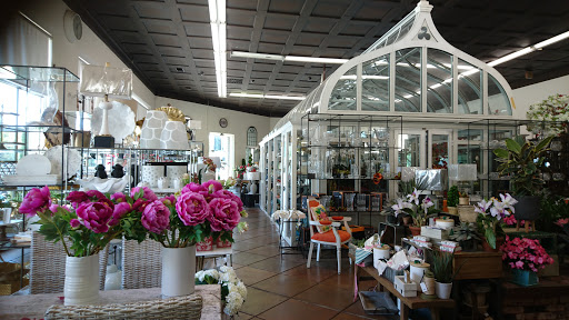 Dried flower shop Pasadena