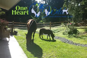One Heart Wild Education Sanctuary image