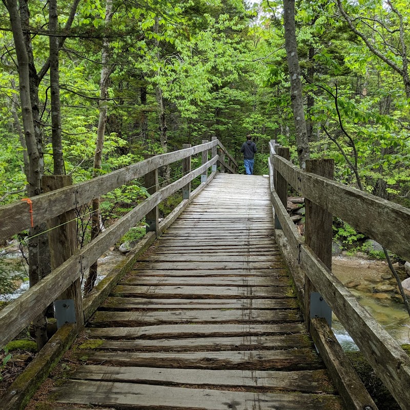 Roaring Brook Campground