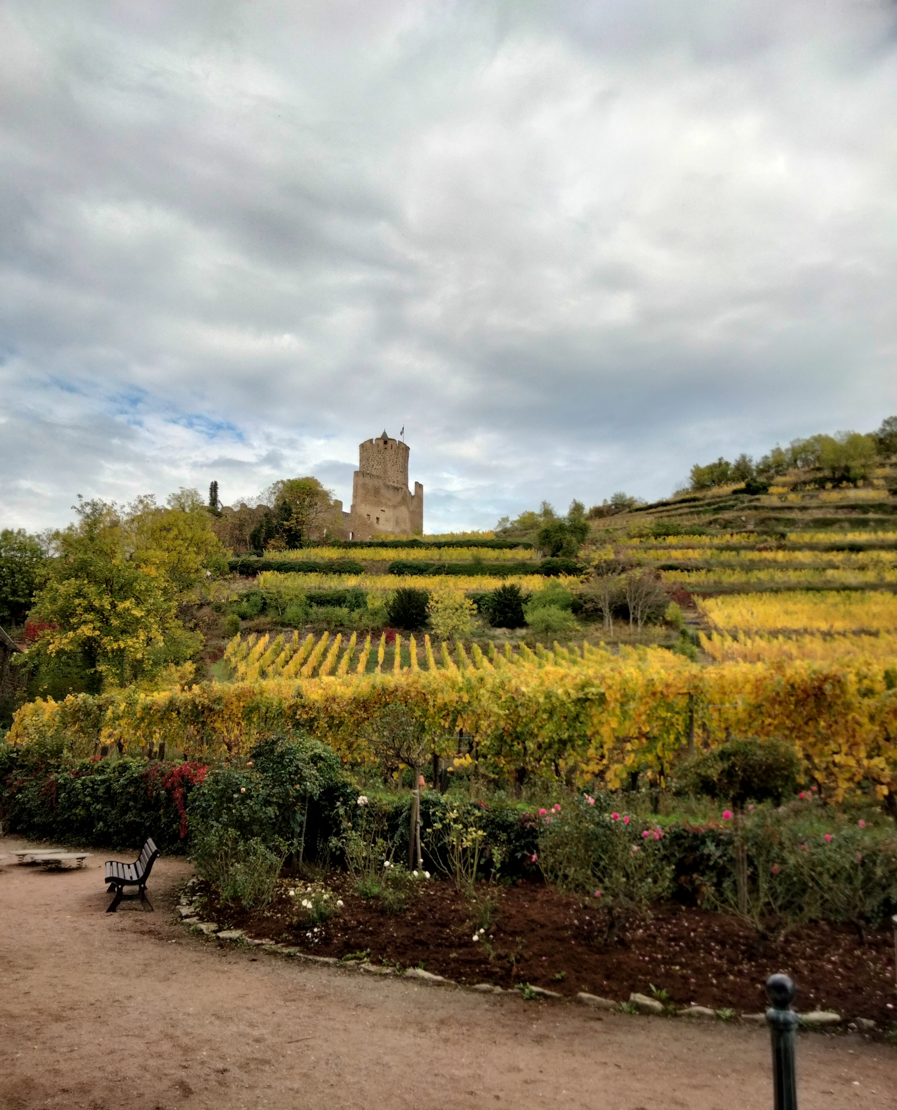 Photo n° 5 de l'avis de Sabine.e fait le 16/10/2022 à 15:53