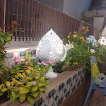 Photo n°2 de l'avis de Vanessa.o fait le 11/09/2022 à 17:12 sur le  La Terrazza à Polignano a Mare